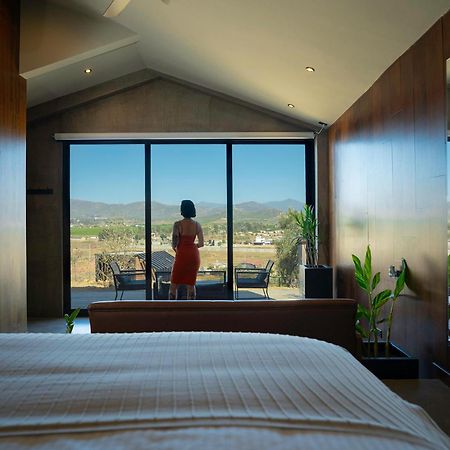Bajo Estrellas Hotel Contemporaneo บาเย เด กัวลาลูเป ภายนอก รูปภาพ