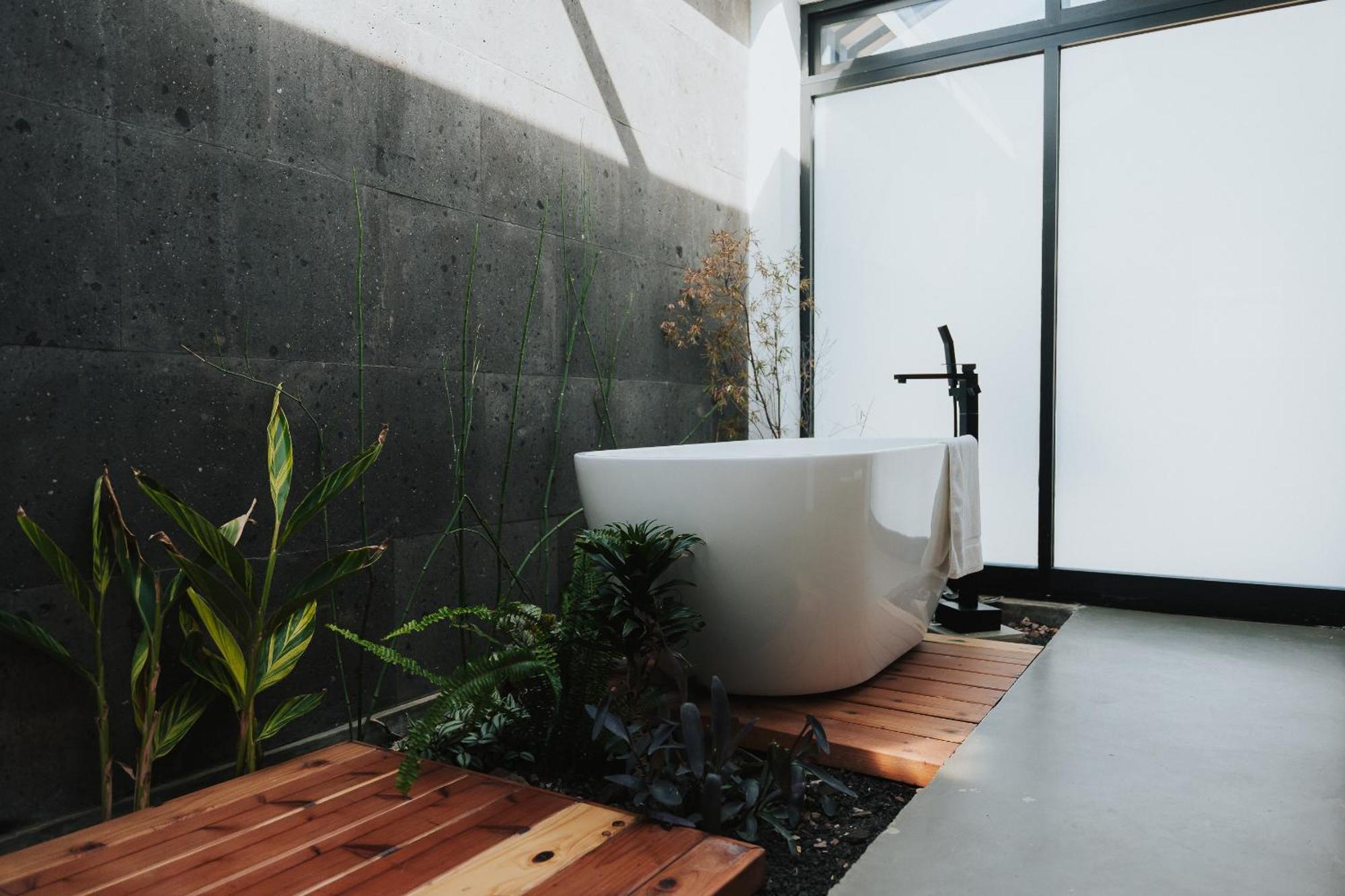 Bajo Estrellas Hotel Contemporaneo บาเย เด กัวลาลูเป ภายนอก รูปภาพ